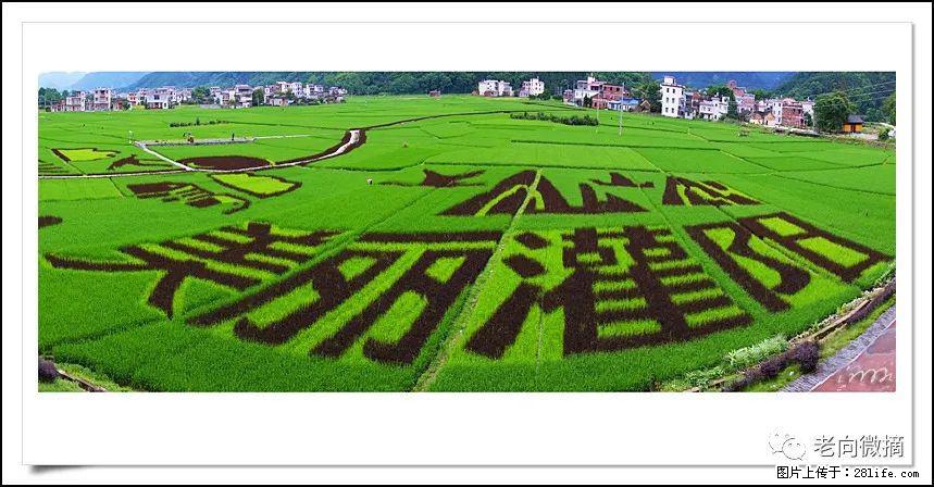 【春天,广西桂林灌阳县向您发出邀请!】开篇 - 游山玩水 - 中卫生活社区 - 中卫28生活网 zw.28life.com