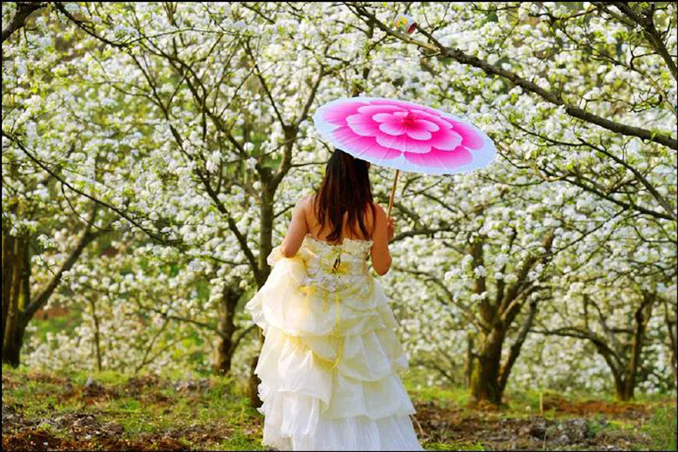 【春天,广西桂林灌阳县向您发出邀请!】我们在灌阳看梨花 - 游山玩水 - 中卫生活社区 - 中卫28生活网 zw.28life.com