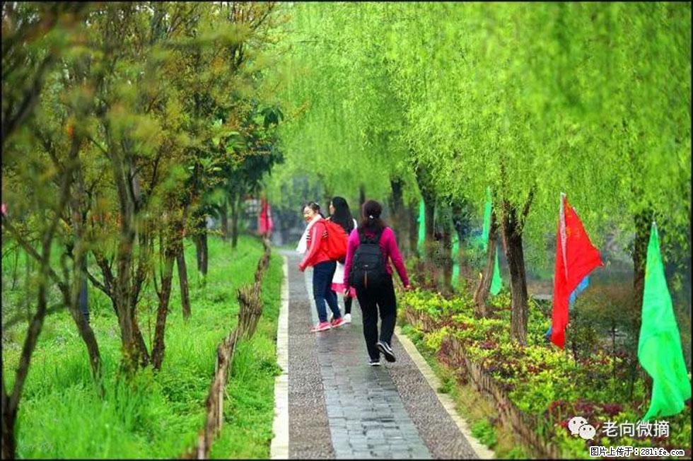 【春天,广西桂林灌阳县向您发出邀请!】江口老街又逢春 - 游山玩水 - 中卫生活社区 - 中卫28生活网 zw.28life.com