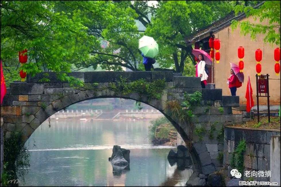 【春天,广西桂林灌阳县向您发出邀请!】江口老街又逢春 - 游山玩水 - 中卫生活社区 - 中卫28生活网 zw.28life.com