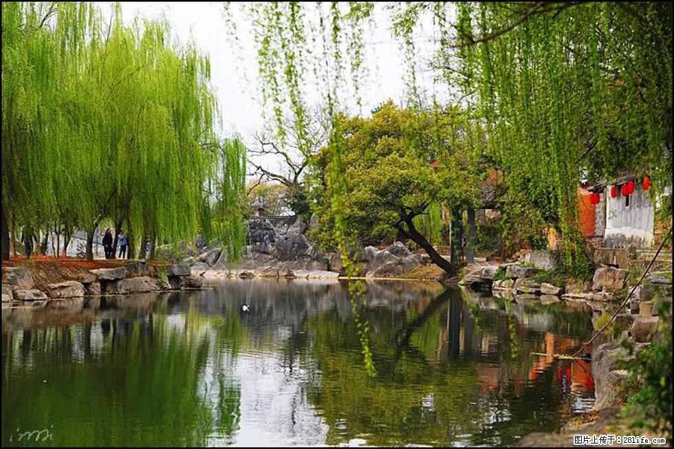 【春天,广西桂林灌阳县向您发出邀请!】江口老街又逢春 - 游山玩水 - 中卫生活社区 - 中卫28生活网 zw.28life.com