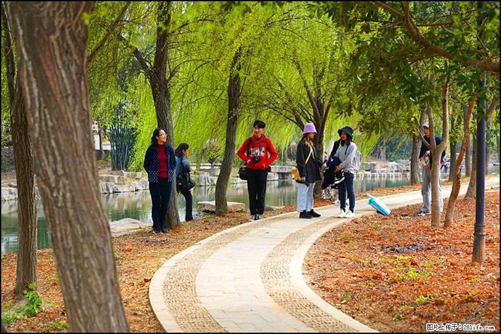 【春天,广西桂林灌阳县向您发出邀请!】江口老街又逢春 - 游山玩水 - 中卫生活社区 - 中卫28生活网 zw.28life.com