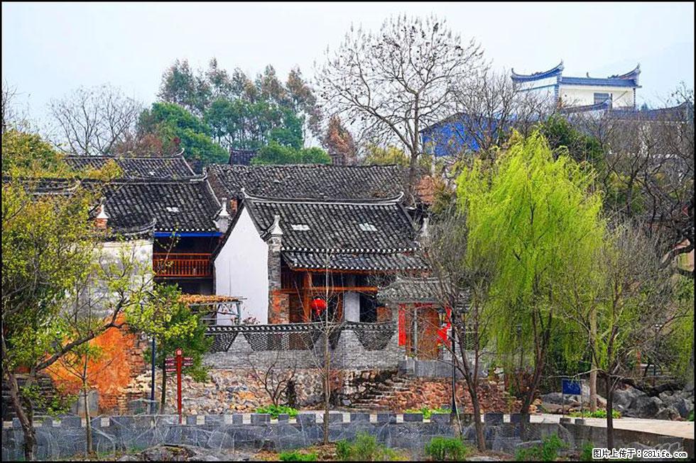 【春天,广西桂林灌阳县向您发出邀请!】江口老街又逢春 - 游山玩水 - 中卫生活社区 - 中卫28生活网 zw.28life.com