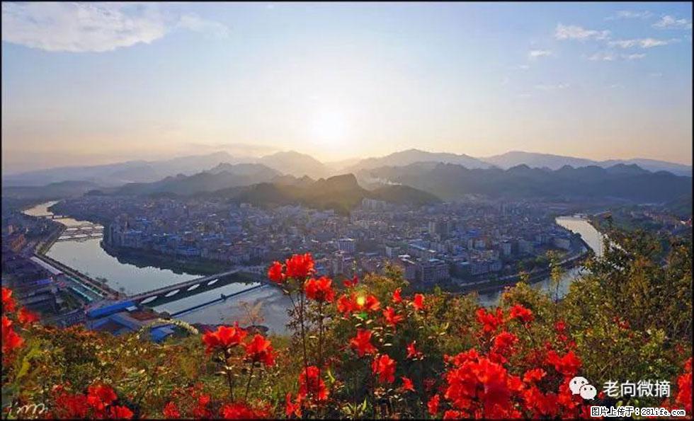 【春天,广西桂林灌阳县向您发出邀请!】登麒麟山,相约映山红 - 游山玩水 - 中卫生活社区 - 中卫28生活网 zw.28life.com