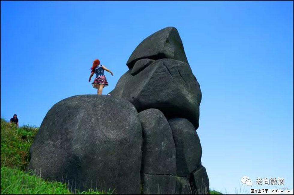 【春天，广西桂林灌阳县向您发出邀请！】宝盖山上映山红 - 游山玩水 - 中卫生活社区 - 中卫28生活网 zw.28life.com