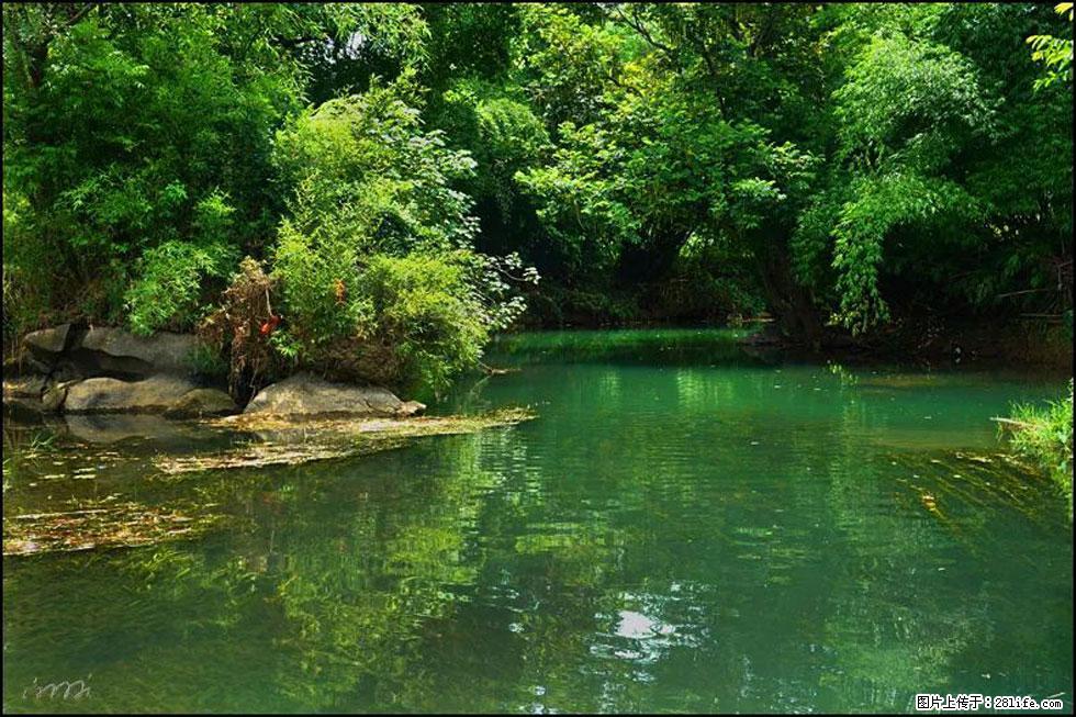 【春天，广西桂林灌阳县向您发出邀请！】如梦似幻莲溪庐 - 游山玩水 - 中卫生活社区 - 中卫28生活网 zw.28life.com