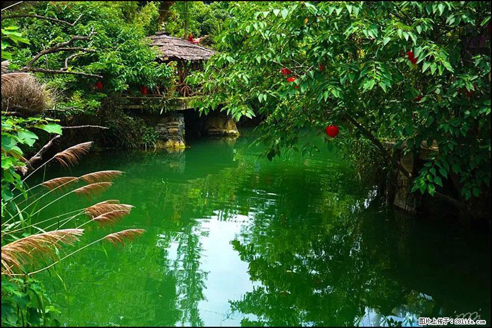 【春天，广西桂林灌阳县向您发出邀请！】如梦似幻莲溪庐 - 游山玩水 - 中卫生活社区 - 中卫28生活网 zw.28life.com