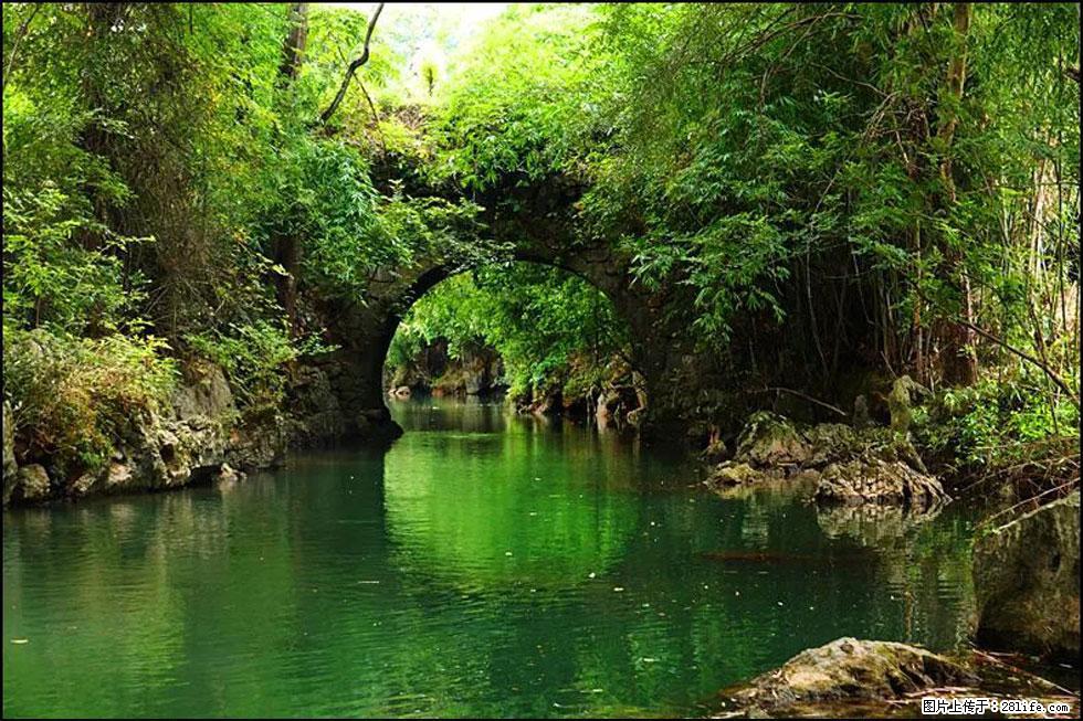 【春天，广西桂林灌阳县向您发出邀请！】如梦似幻莲溪庐 - 游山玩水 - 中卫生活社区 - 中卫28生活网 zw.28life.com