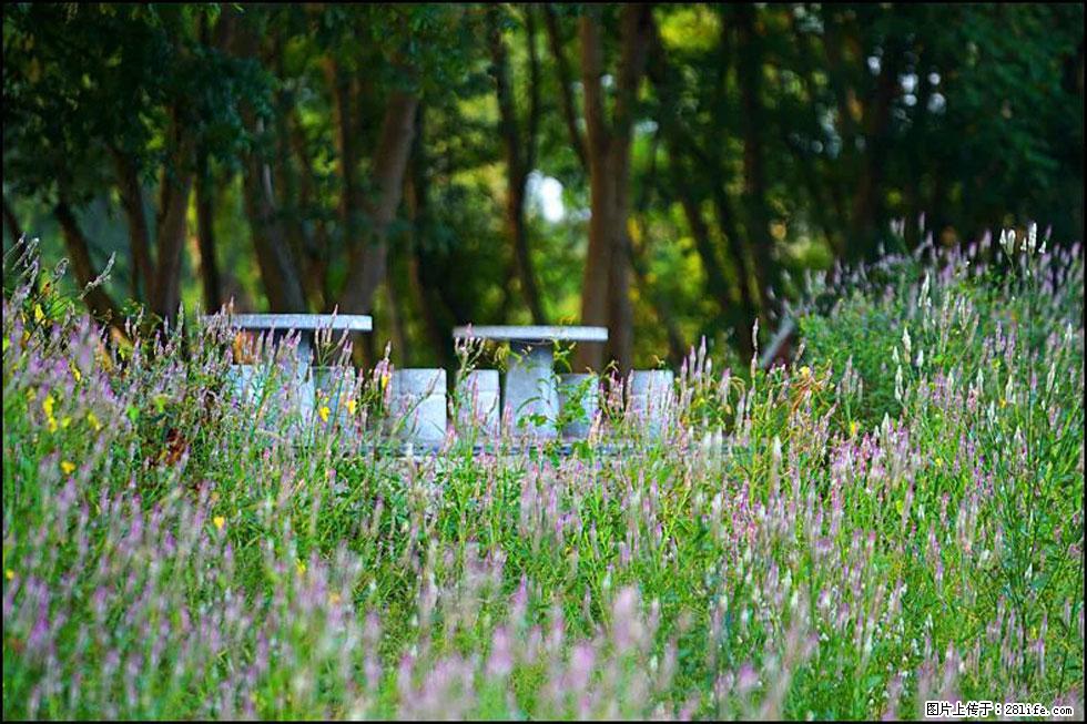 【春天,广西桂林灌阳县向您发出邀请!】熊家寨湿地公园 - 游山玩水 - 中卫生活社区 - 中卫28生活网 zw.28life.com