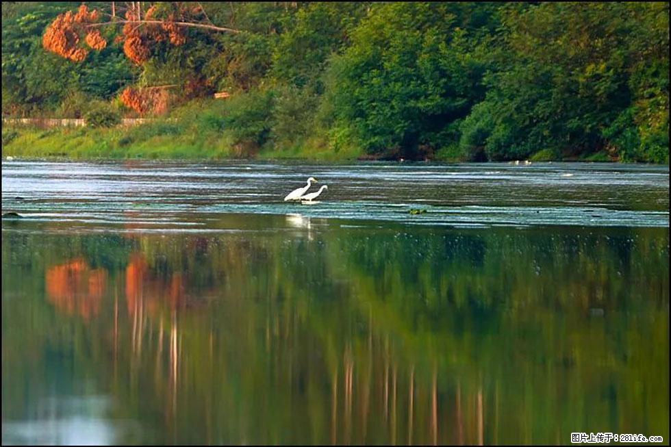 【春天,广西桂林灌阳县向您发出邀请!】熊家寨湿地公园 - 游山玩水 - 中卫生活社区 - 中卫28生活网 zw.28life.com