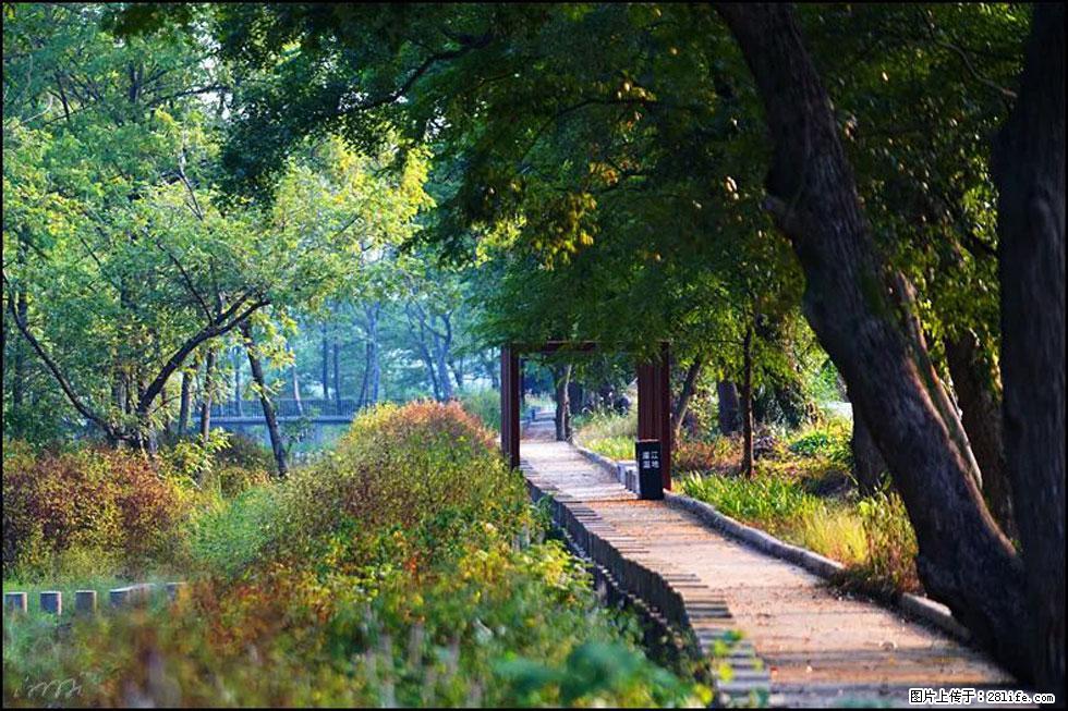 【春天,广西桂林灌阳县向您发出邀请!】熊家寨湿地公园 - 游山玩水 - 中卫生活社区 - 中卫28生活网 zw.28life.com