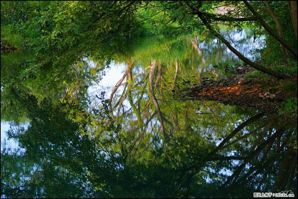 【春天,广西桂林灌阳县向您发出邀请!】熊家寨湿地公园 - 游山玩水 - 中卫生活社区 - 中卫28生活网 zw.28life.com