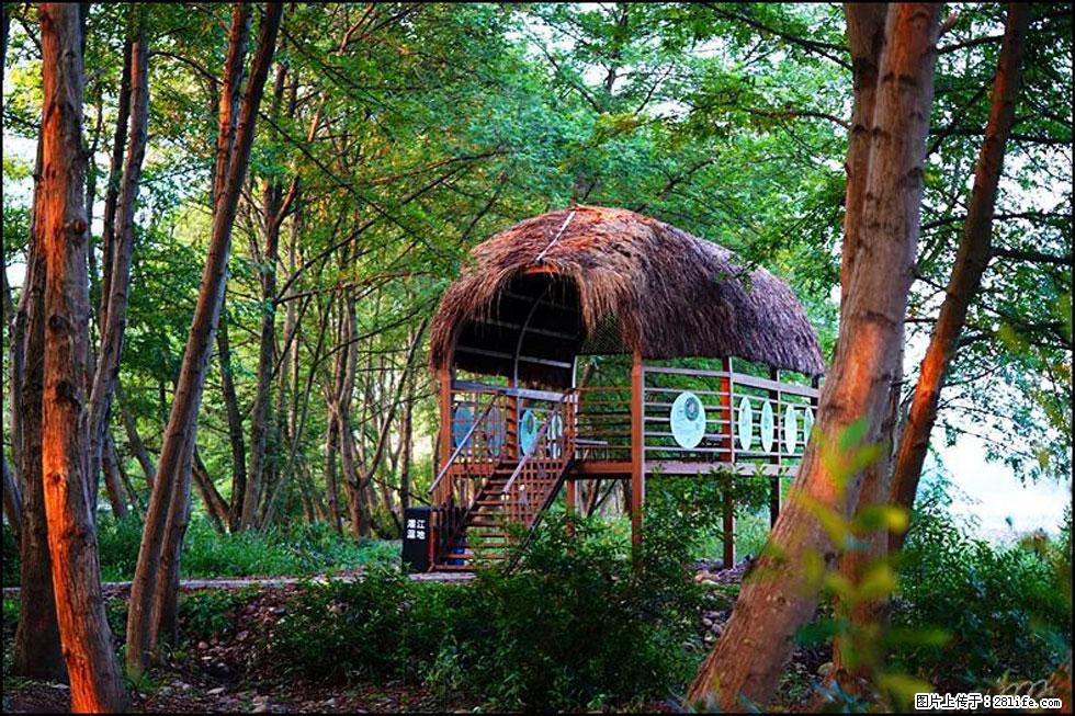 【春天,广西桂林灌阳县向您发出邀请!】熊家寨湿地公园 - 游山玩水 - 中卫生活社区 - 中卫28生活网 zw.28life.com