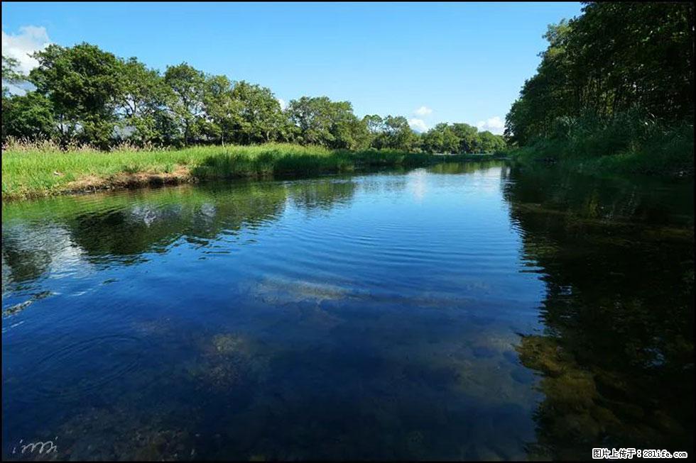 【春天,广西桂林灌阳县向您发出邀请!】熊家寨湿地公园 - 游山玩水 - 中卫生活社区 - 中卫28生活网 zw.28life.com