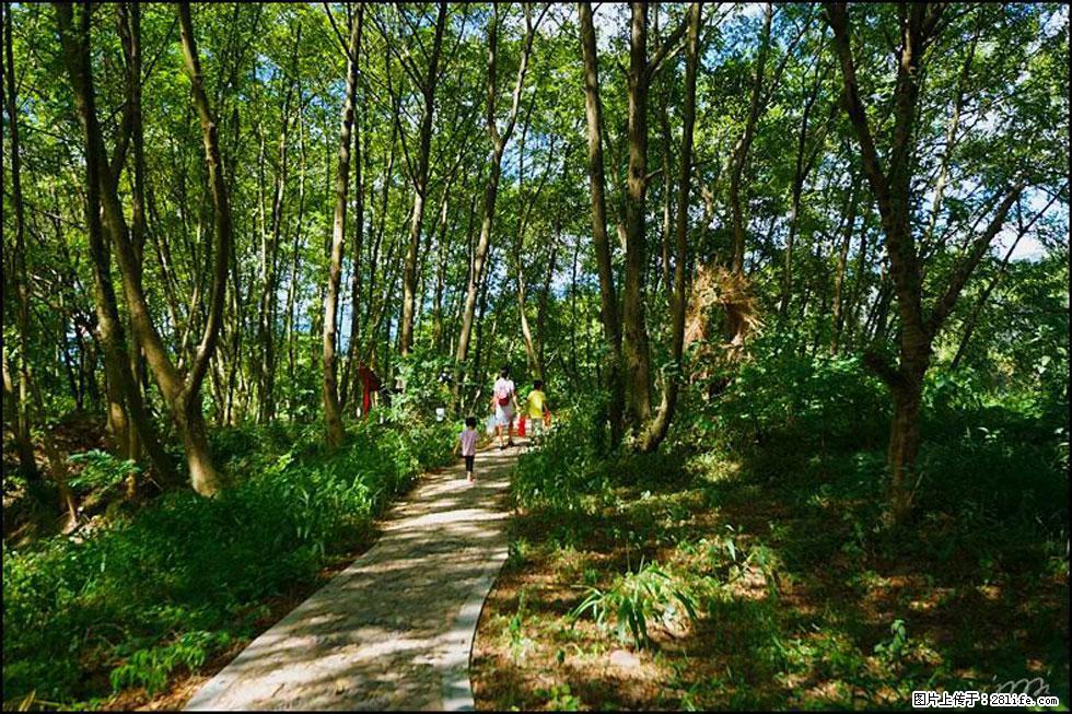 【春天,广西桂林灌阳县向您发出邀请!】熊家寨湿地公园 - 游山玩水 - 中卫生活社区 - 中卫28生活网 zw.28life.com