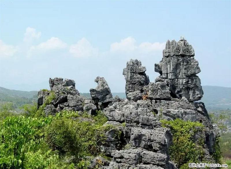 桂林旅游名城景点:灌阳文市石林 - 游山玩水 - 中卫生活社区 - 中卫28生活网 zw.28life.com
