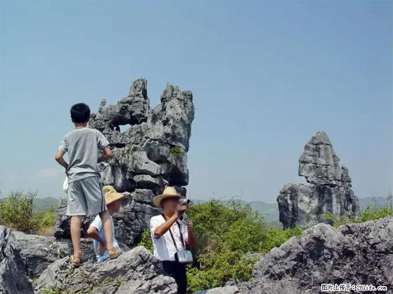 桂林旅游名城景点:灌阳文市石林 - 游山玩水 - 中卫生活社区 - 中卫28生活网 zw.28life.com