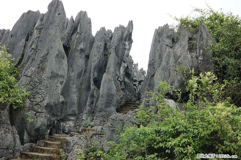 桂林旅游名城景点:灌阳文市石林 - 游山玩水 - 中卫生活社区 - 中卫28生活网 zw.28life.com