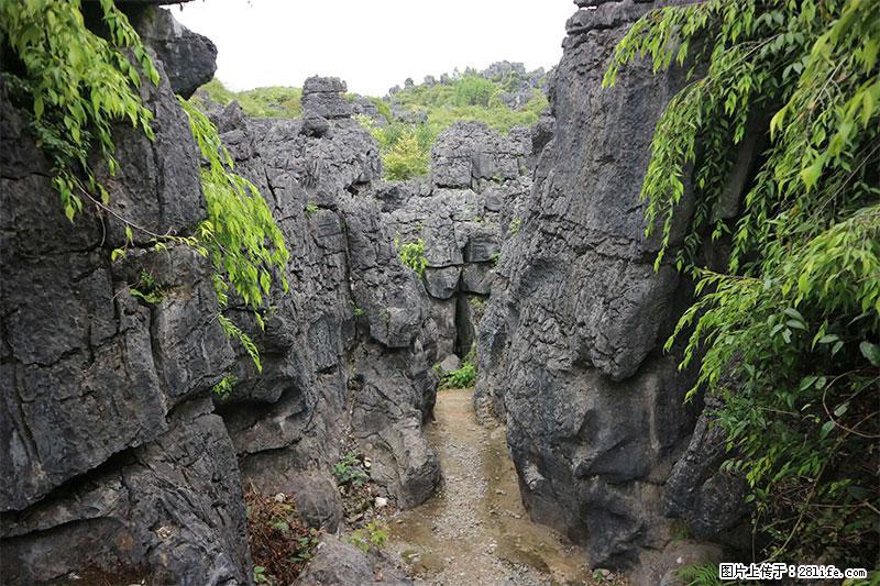 桂林旅游名城景点:灌阳文市石林 - 游山玩水 - 中卫生活社区 - 中卫28生活网 zw.28life.com