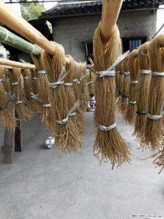 【灌阳正宗红薯粉】美女家里自己做的,干净卫生,假一赔十,价格合理,抢购电话:13737312895 - 中卫28生活网 zw.28life.com