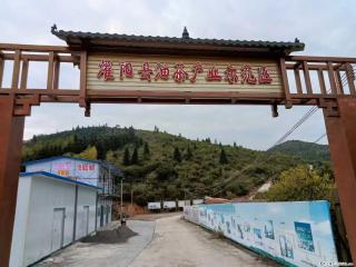 【灌阳县油茶产业示范区】一个有着充实的精神生活的人,对待身外之物自会有一种淡泊的态度 - 中卫28生活网 zw.28life.com
