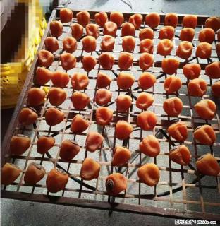 广西桂林平乐桥亭【柿饼之乡】2025年纯手工制作、无任何添加剂的第一批柿饼准备上市了，欢迎联系订购！ - 中卫28生活网 zw.28life.com