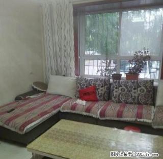 精装大标间 舒适温馨的布局 低楼层 - 中卫28生活网 zw.28life.com