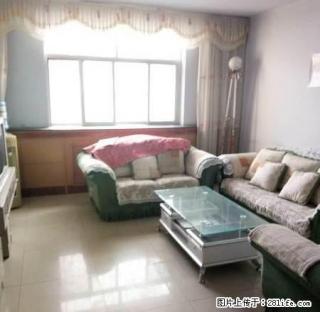 中山小区精品三楼 业主诚心出租,快快来看看吧 - 中卫28生活网 zw.28life.com