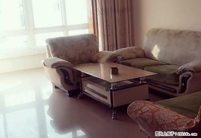 世纪花园 南北通透 精装 可半年租 - 房屋出租 - 房屋租售 - 中卫分类信息 - 中卫28生活网 zw.28life.com