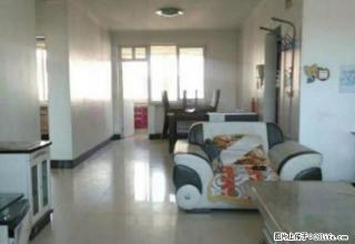 明珠小区 精装 急租 - 中卫28生活网 zw.28life.com