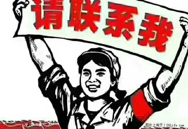 蔡桥新村，两室两厅一卫， - 房屋出租 - 房屋租售 - 中卫分类信息 - 中卫28生活网 zw.28life.com