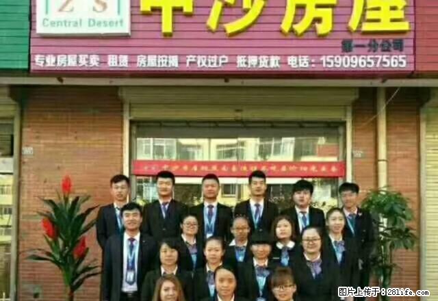 天和苑小区精装修单生公寓 应有尽有 拎包入住 - 房屋出租 - 房屋租售 - 中卫分类信息 - 中卫28生活网 zw.28life.com