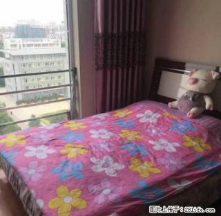 春风十里不如一套舒适房 - 中卫28生活网 zw.28life.com