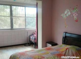 祥瑞小区 ,可拎包入住。 - 中卫28生活网 zw.28life.com