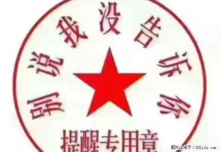 黄河花园三期中装两室Di价出租 - 中卫28生活网 zw.28life.com