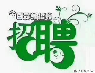 【招聘摄像师】待遇：试用期6000元/月，转正7000元/月+五险一金+餐补+节日福利+奖金 - 中卫28生活网 zw.28life.com