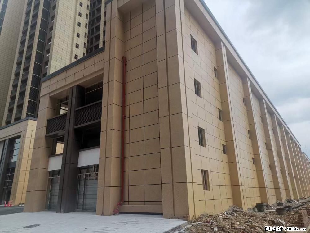 【广西三象建筑安装工程有限公司】外墙涂料工程 - 新手上路 - 中卫生活社区 - 中卫28生活网 zw.28life.com
