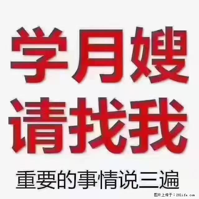 【招聘】月嫂,上海徐汇区 - 职场交流 - 中卫生活社区 - 中卫28生活网 zw.28life.com