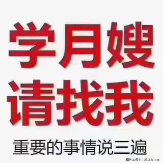 【招聘】月嫂，上海徐汇区 - 中卫28生活网 zw.28life.com