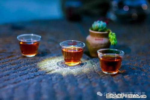 时间果百年古树2025年春红茶 - 购物交流 - 中卫生活社区 - 中卫28生活网 zw.28life.com