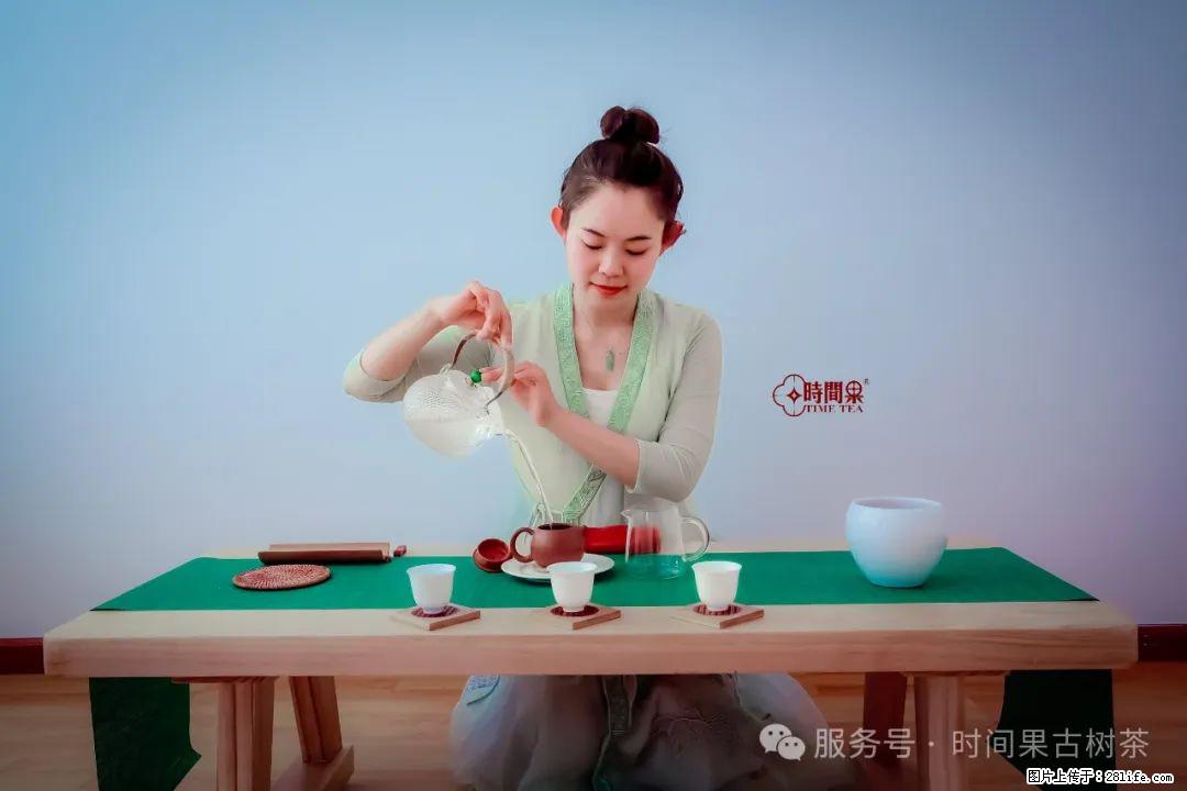 时间果百年古树龙珠普洱生茶 - 购物交流 - 中卫生活社区 - 中卫28生活网 zw.28life.com