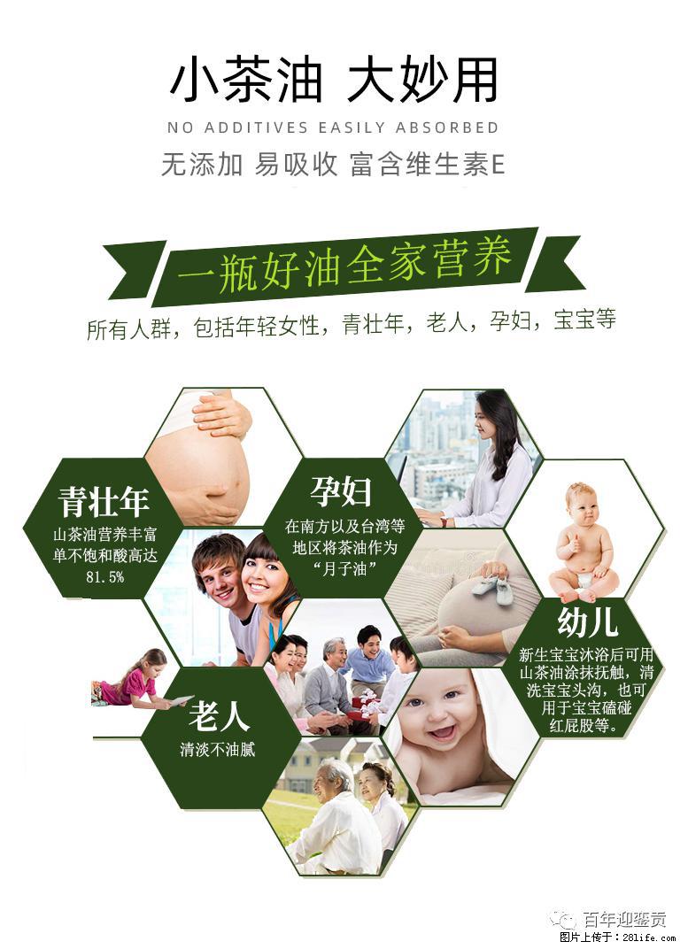 世界没有真相,只有认知,最好的食用油是中国的山茶油! - 中卫生活资讯 - 中卫28生活网 zw.28life.com