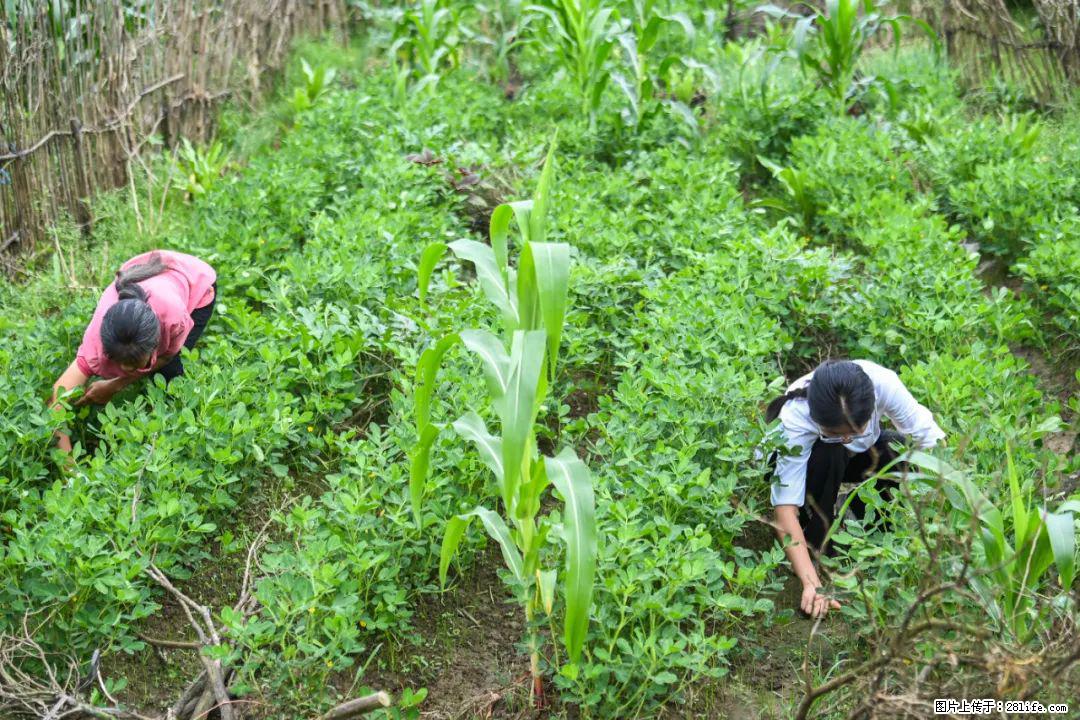 全网追的“扁担女孩”,找了一份暑假工,时薪12元 - 中卫生活资讯 - 中卫28生活网 zw.28life.com