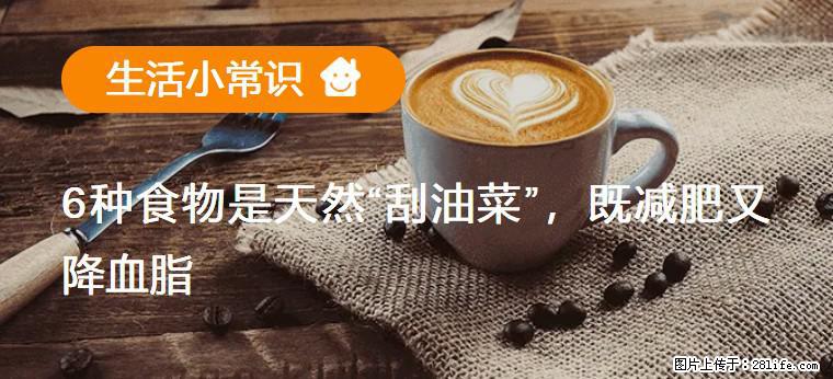 【生活小常识】6种食物是天然“刮油菜”,既减肥又降血脂 - 中卫生活资讯 - 中卫28生活网 zw.28life.com