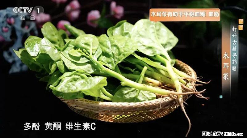 比牛奶补钙还厉害!凉血解毒、稳血糖...这菜冬天必吃,很多人却当草 - 中卫生活资讯 - 中卫28生活网 zw.28life.com