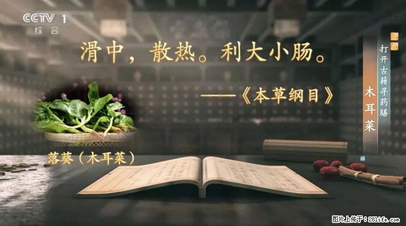 比牛奶补钙还厉害!凉血解毒、稳血糖...这菜冬天必吃,很多人却当草 - 中卫生活资讯 - 中卫28生活网 zw.28life.com