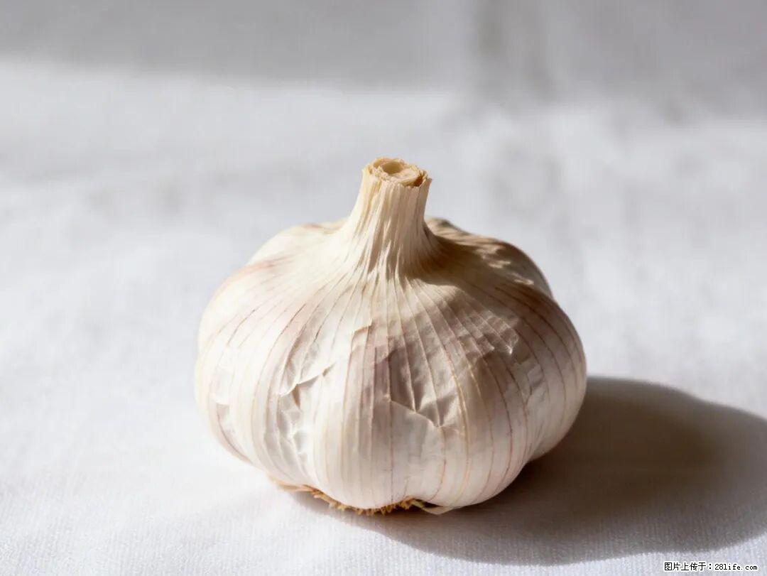 关于大蒜,除了“天然抗生素”,这4个谣言更该警惕! - 中卫生活资讯 - 中卫28生活网 zw.28life.com