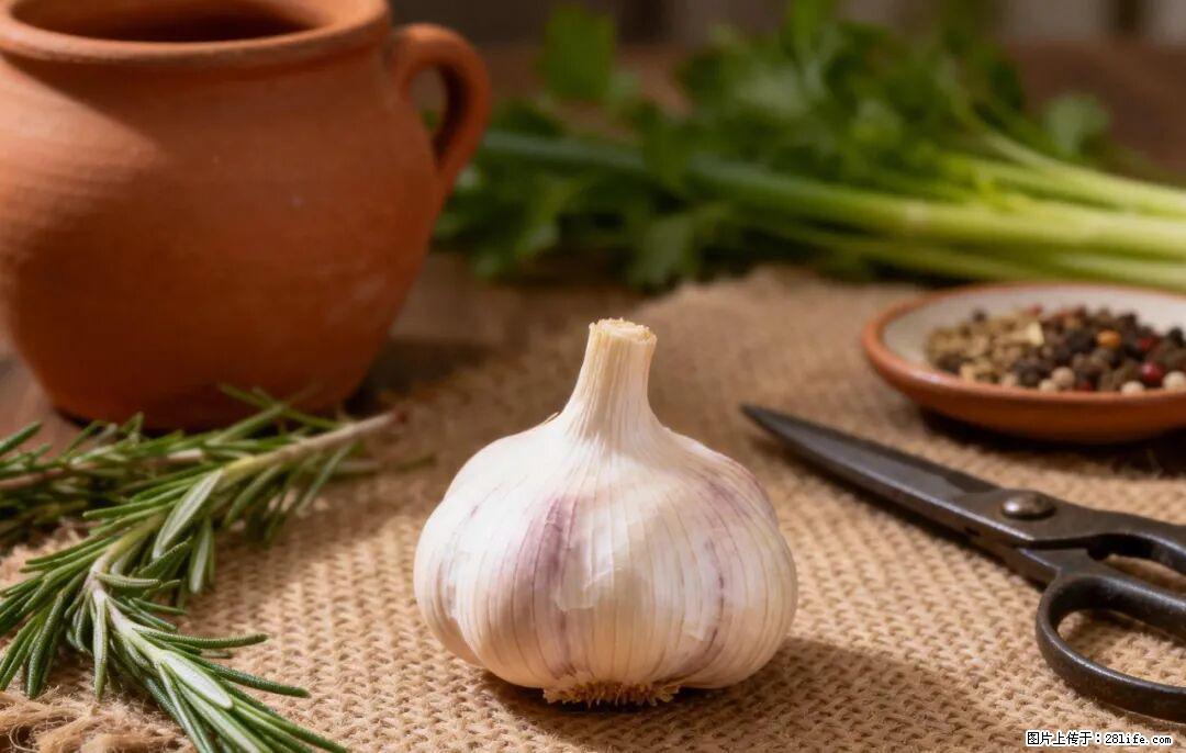关于大蒜,除了“天然抗生素”,这4个谣言更该警惕! - 中卫生活资讯 - 中卫28生活网 zw.28life.com