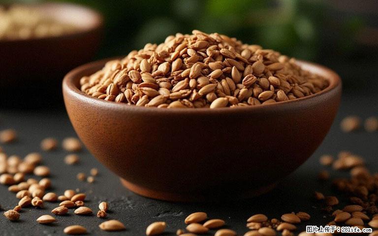 这三苦是三高“克星”,心血管干净不易堵!每天吃一点,指标慢慢降下来~ - 中卫生活资讯 - 中卫28生活网 zw.28life.com