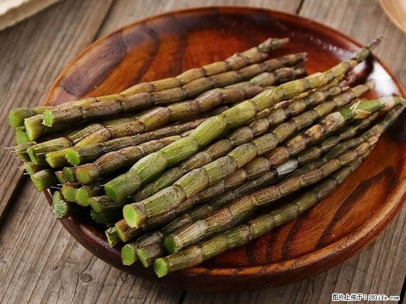 铁皮石斛的作用与功能主治 - 中卫生活资讯 - 中卫28生活网 zw.28life.com